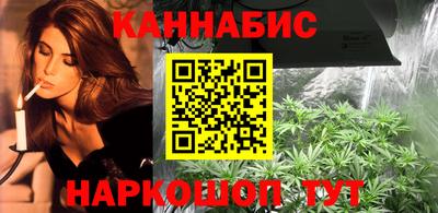 сатива Кинель