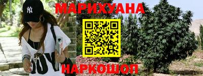 сатива Кимры