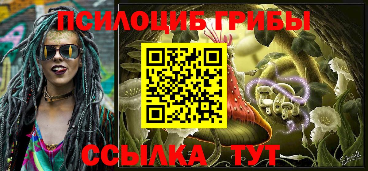 Галлюциногенные грибы Psilocybine cubensis  Вход с VPN  Куйбышев 